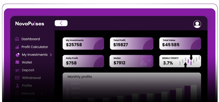 hero section showcase